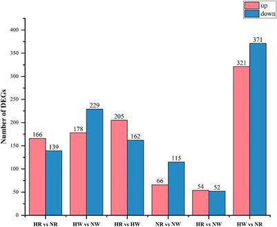 Expression Regulation Mechanisms of Sea Urchin (Strongylocentrotus intermedius) Under the High Temperature: New Evidence for the miRNA-mRNA Interaction Involvement